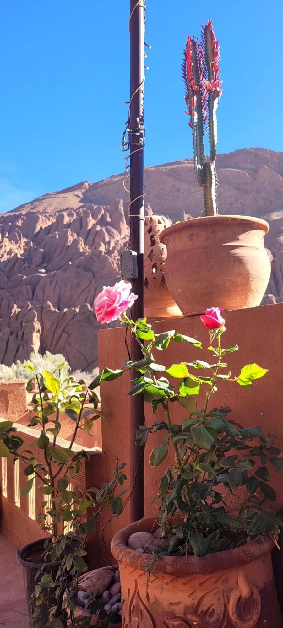 Tafsut Dades Guesthouse Stay With Locals Tamellalt  Exteriér fotografie